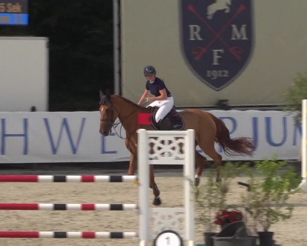 FEI Reitturnier Eschweiler (GER) 2020