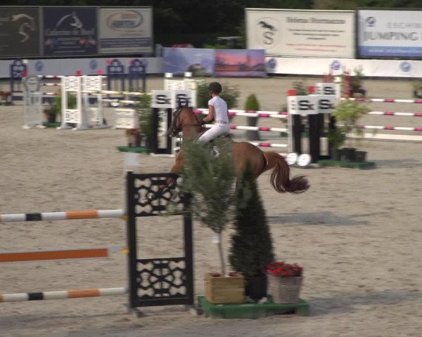 FEI Reitturnier Eschweiler (GER) 2020