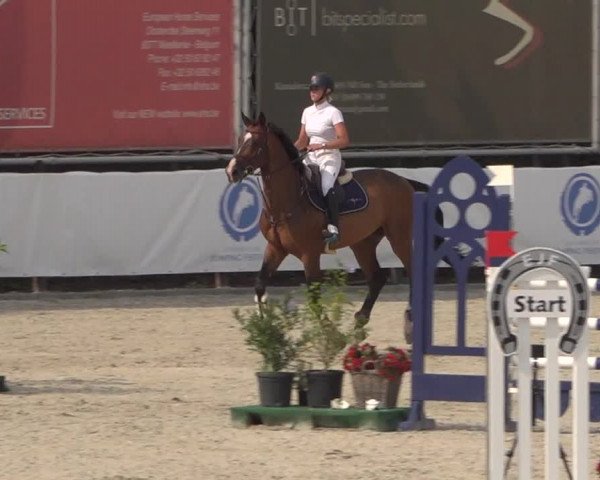 FEI Reitturnier Eschweiler (GER) 2020