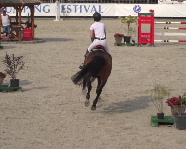 FEI Reitturnier Eschweiler (GER) 2020