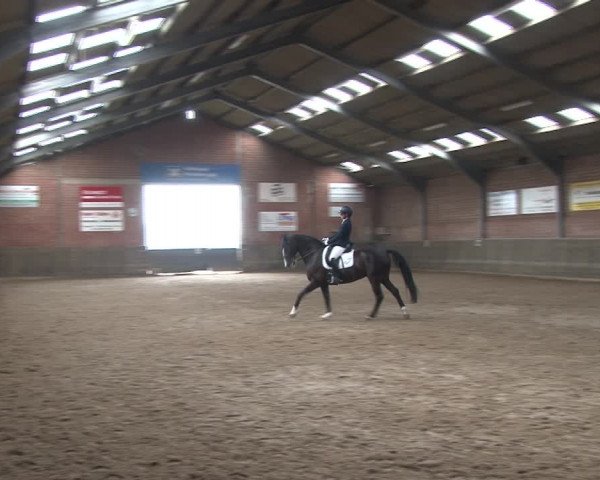 Reitturnier Kirchhoven-Vinn 2020
