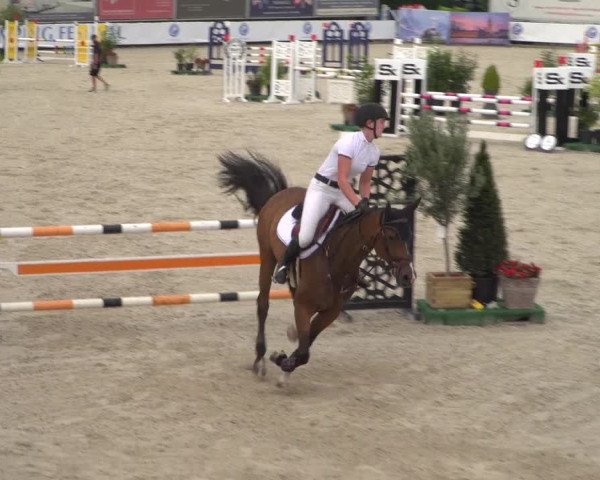 FEI Reitturnier Eschweiler (GER) 2020