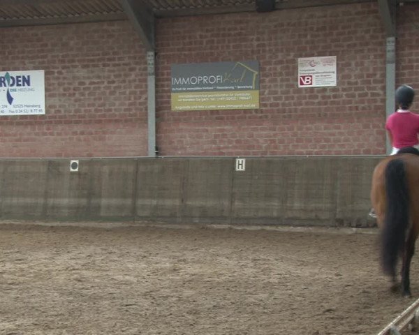 Reitturnier Kirchhoven-Vinn 2020
