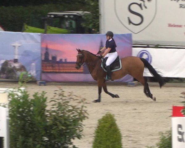 FEI Reitturnier Eschweiler (GER) 2020