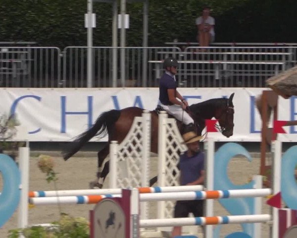 FEI Reitturnier Eschweiler (GER) 2020