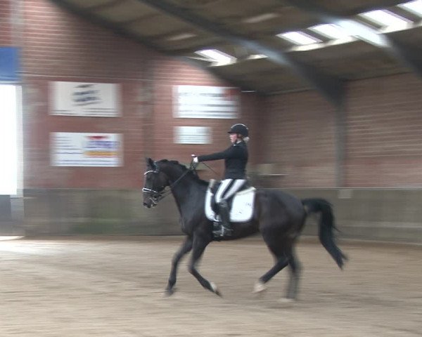Reitturnier Kirchhoven-Vinn 2020