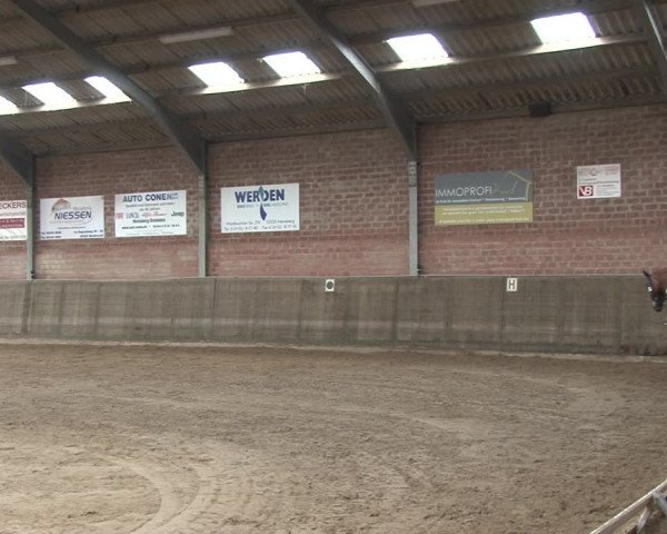 Reitturnier Kirchhoven-Vinn 2020