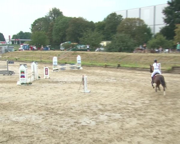 Reitturnier Kirchhoven-Vinn 2020