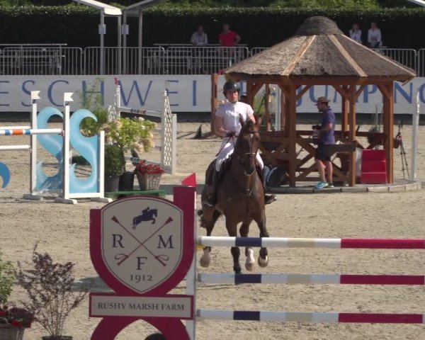 FEI Reitturnier Eschweiler (GER) 2020