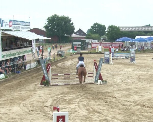 Reitturnier Kirchhoven-Vinn 2020