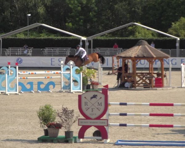 FEI Reitturnier Eschweiler (GER) 2020