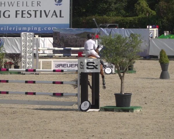 FEI Reitturnier Eschweiler (GER) 2020