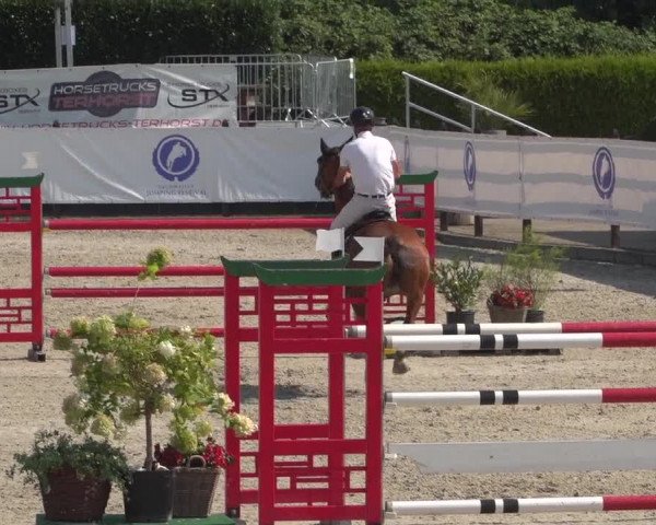 FEI Reitturnier Eschweiler (GER) 2020
