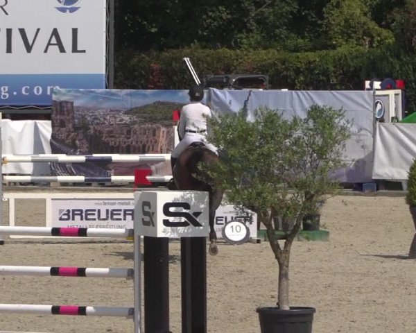 FEI Reitturnier Eschweiler (GER) 2020