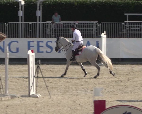 FEI Reitturnier Eschweiler (GER) 2020