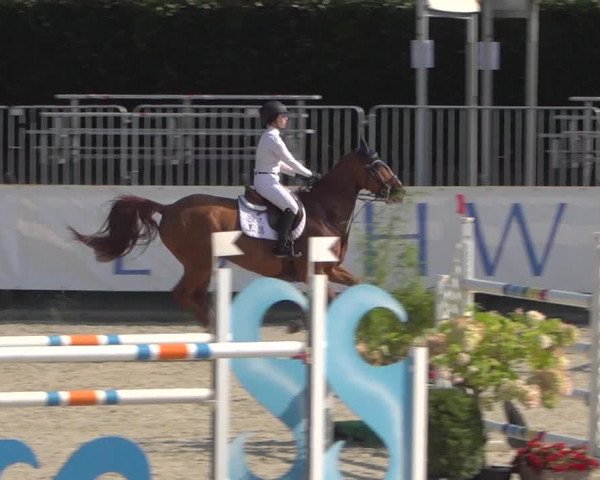 FEI Reitturnier Eschweiler (GER) 2020