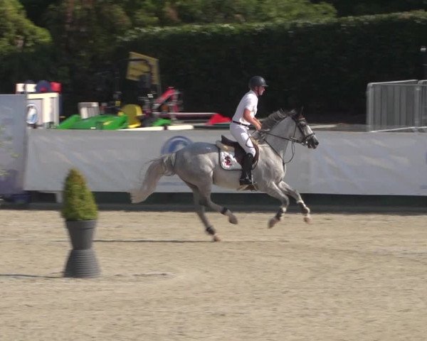 FEI Reitturnier Eschweiler (GER) 2020