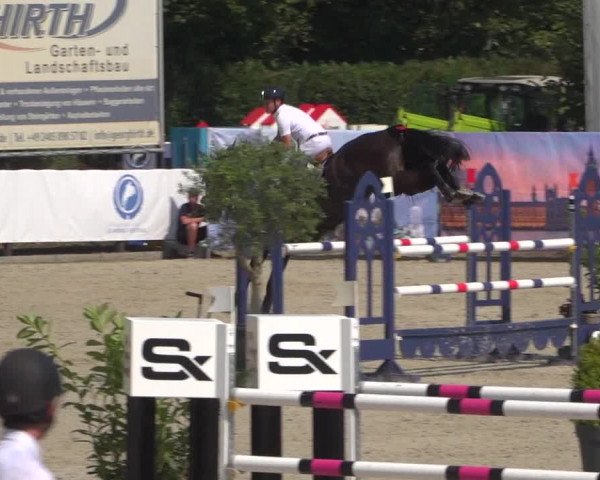 FEI Reitturnier Eschweiler (GER) 2020