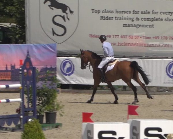 FEI Reitturnier Eschweiler (GER) 2020