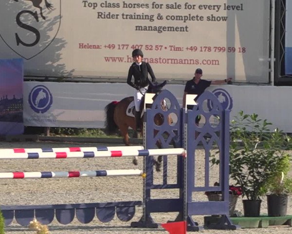 FEI Reitturnier Eschweiler (GER) 2020