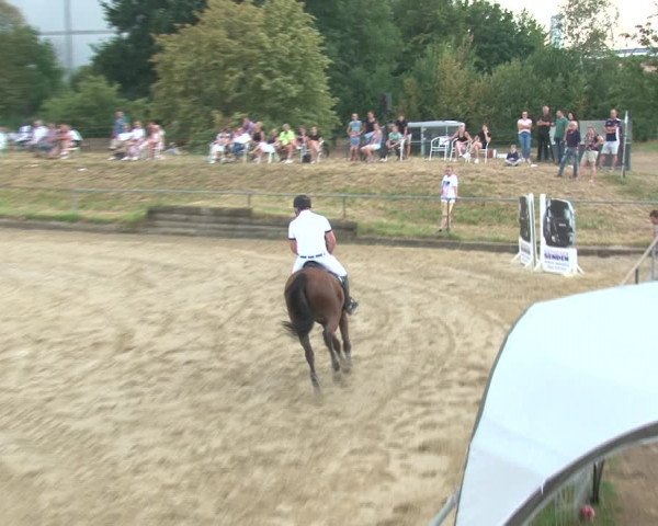 Reitturnier Kirchhoven-Vinn 2020