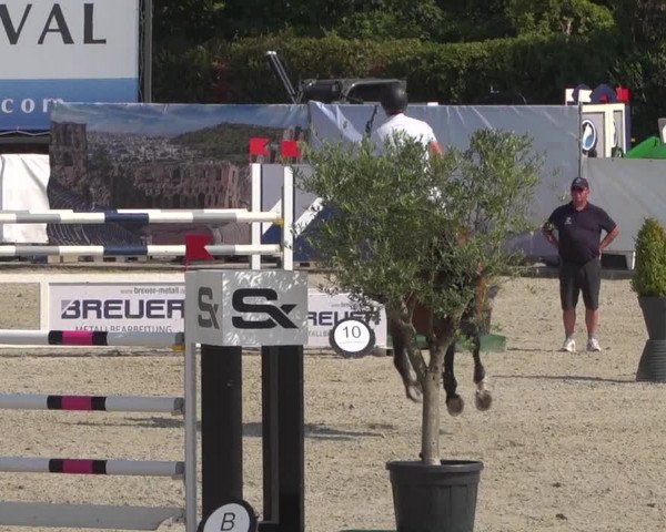FEI Reitturnier Eschweiler (GER) 2020