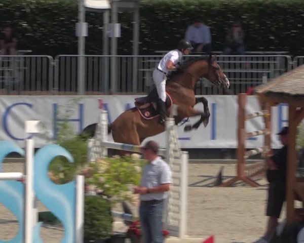 FEI Reitturnier Eschweiler (GER) 2020