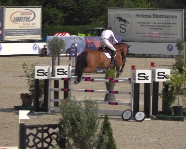 FEI Reitturnier Eschweiler (GER) 2020