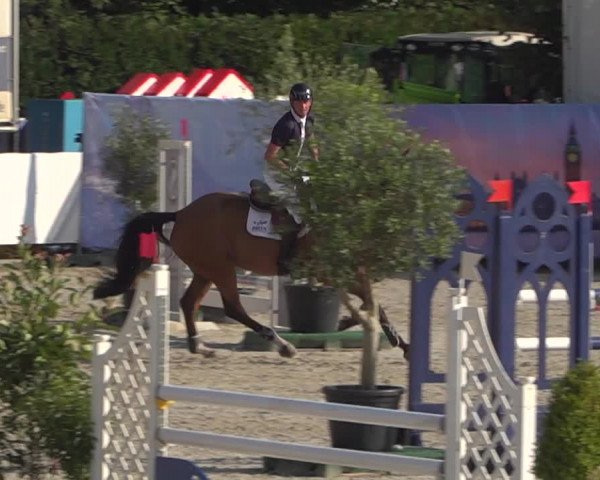 FEI Reitturnier Eschweiler (GER) 2020