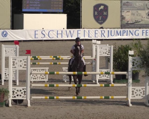 FEI Reitturnier Eschweiler (GER) 2020