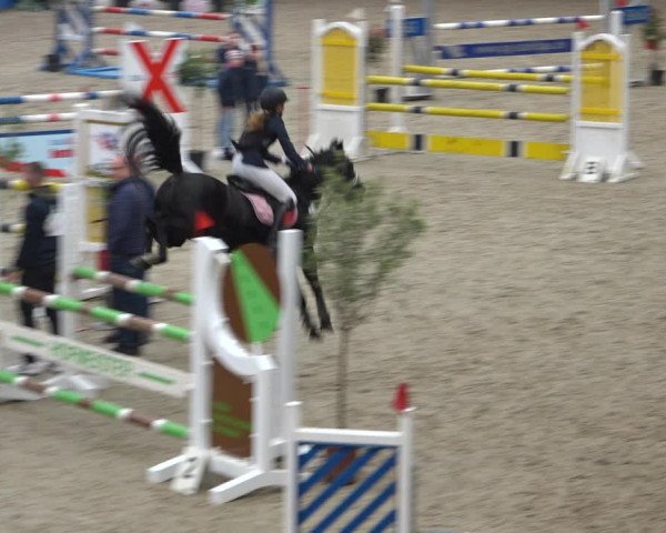Reitturnier Sögel 2021