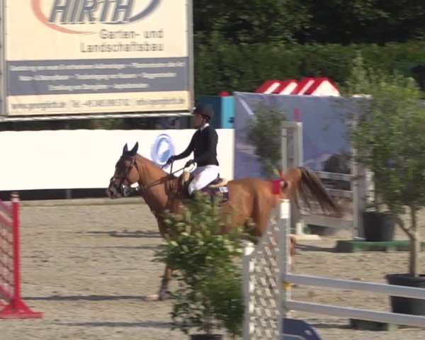 FEI Reitturnier Eschweiler (GER) 2020