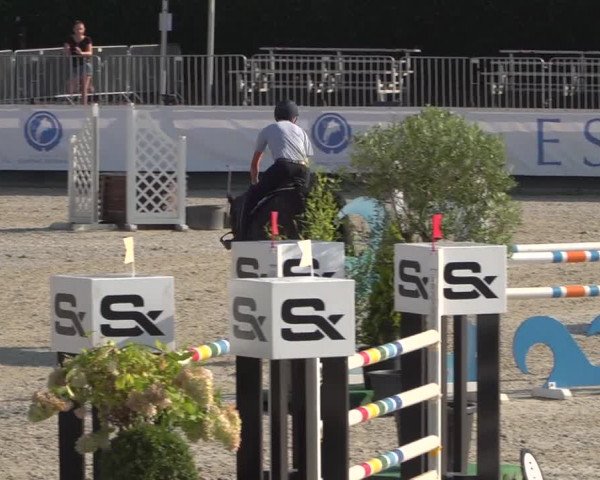 FEI Reitturnier Eschweiler (GER) 2020