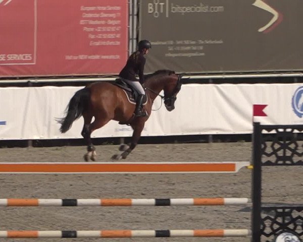 FEI Reitturnier Eschweiler (GER) 2020