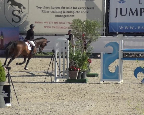 FEI Reitturnier Eschweiler (GER) 2020
