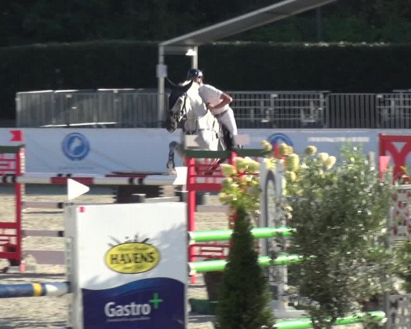 FEI Reitturnier Eschweiler (GER) 2020
