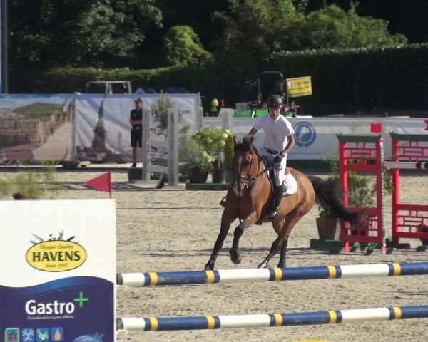 FEI Reitturnier Eschweiler (GER) 2020