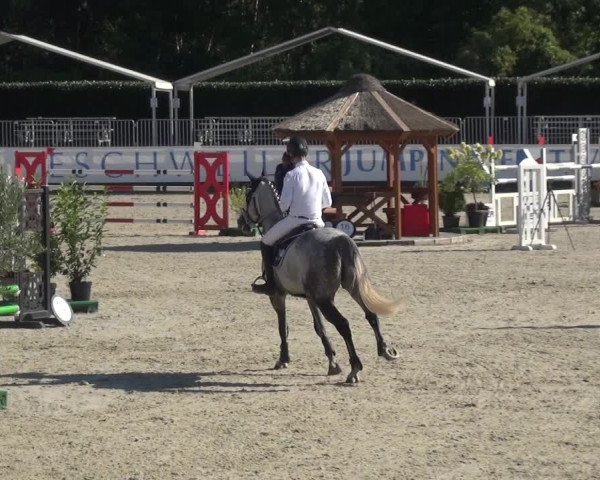 FEI Reitturnier Eschweiler (GER) 2020