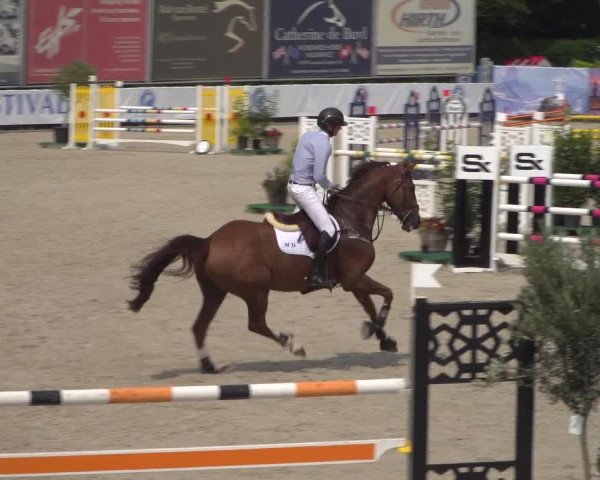FEI Reitturnier Eschweiler (GER) 2020