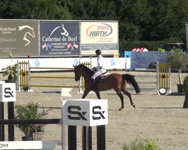 FEI Reitturnier Eschweiler (GER) 2020