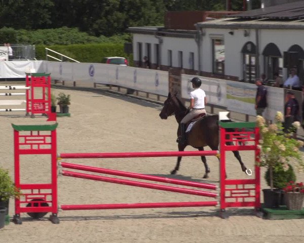 FEI Reitturnier Eschweiler (GER) 2020