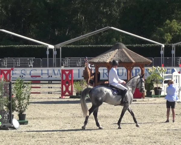 FEI Reitturnier Eschweiler (GER) 2020