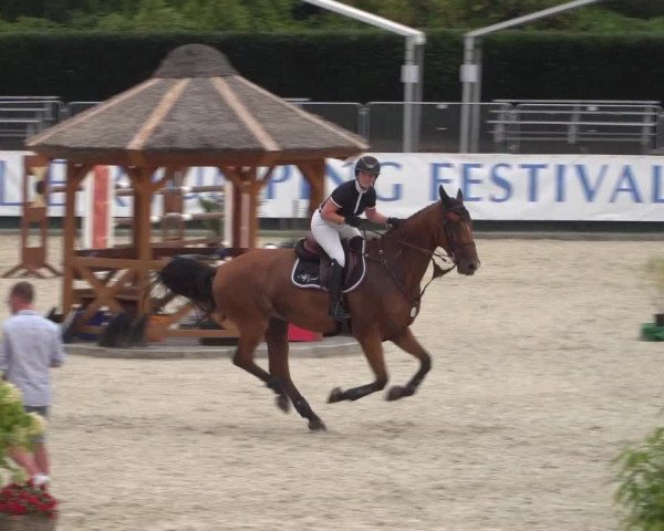 FEI Reitturnier Eschweiler (GER) 2020