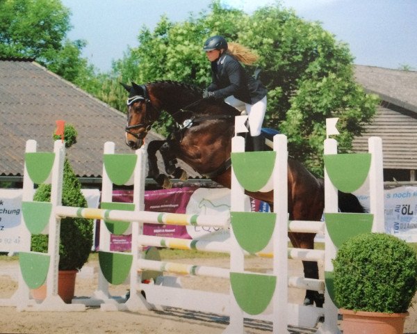 broodmare Capuccina 2 (Oldenburg, 2005, from Chico's Boy)