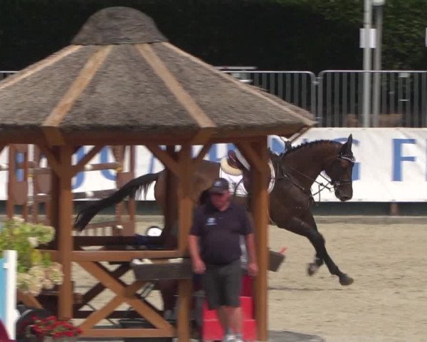 FEI Reitturnier Eschweiler (GER) 2020