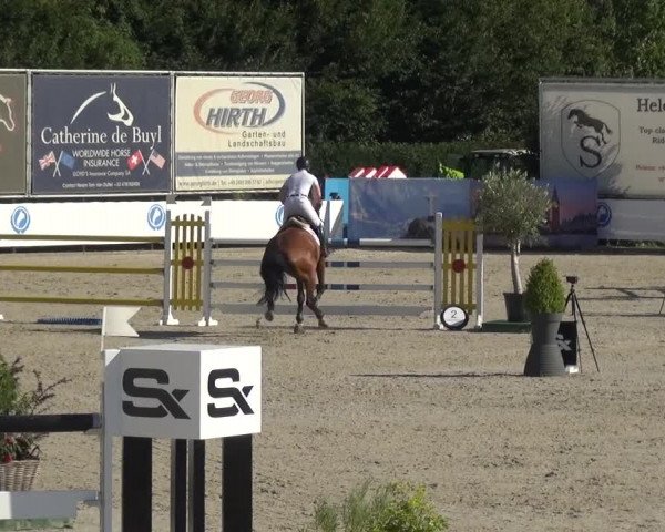 FEI Reitturnier Eschweiler (GER) 2020