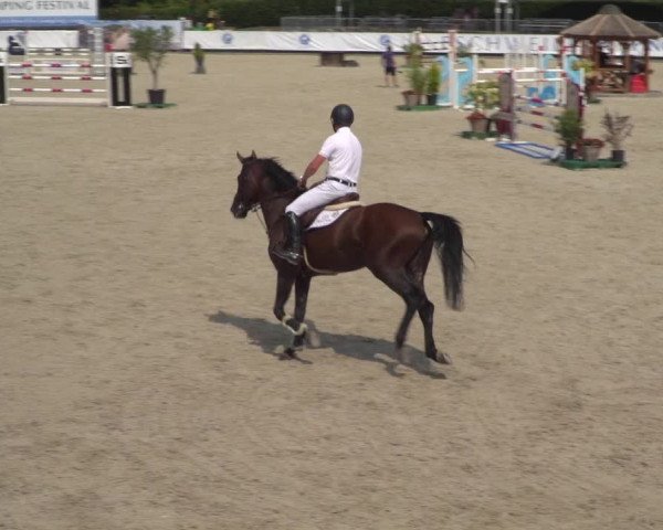 FEI Reitturnier Eschweiler (GER) 2020