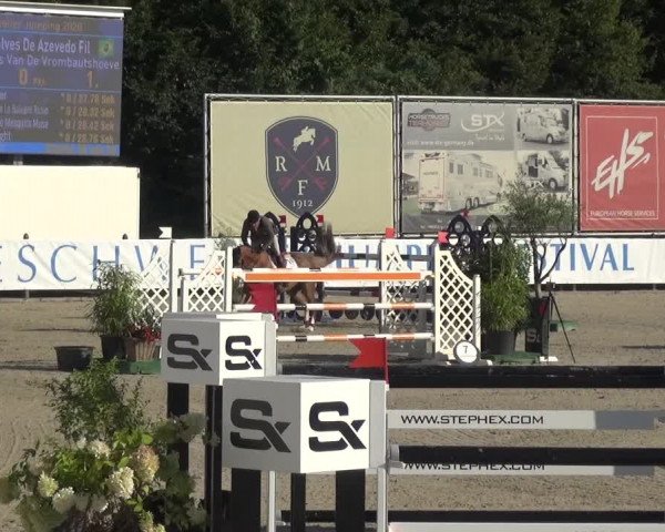 FEI Reitturnier Eschweiler (GER) 2020