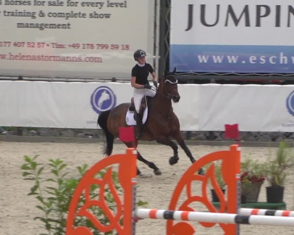 FEI Reitturnier Eschweiler (GER) 2020