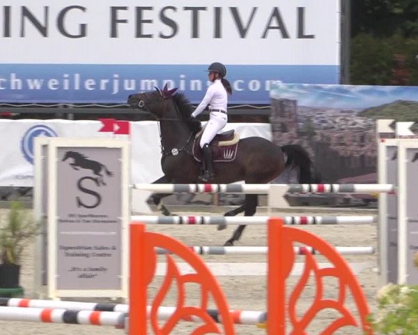 FEI Reitturnier Eschweiler (GER) 2020